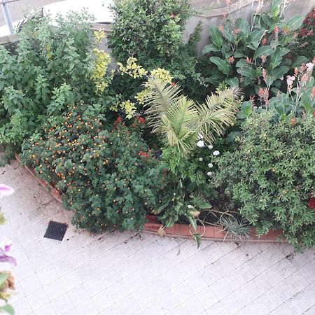 בארי סארדו Bed And Breakfast Le Petunie מראה חיצוני תמונה